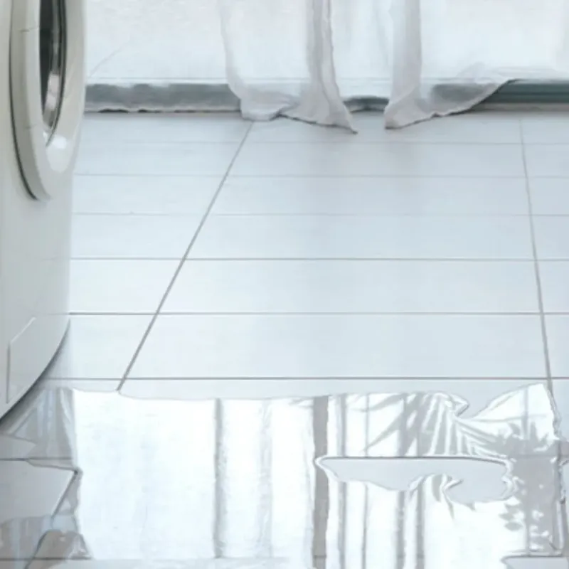 Appliance Leak Cleanup in Zelienople, PA