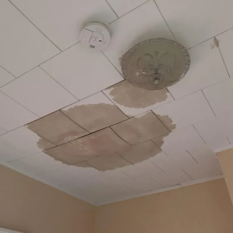 Ceiling Water Damage Repair in Zelienople, PA