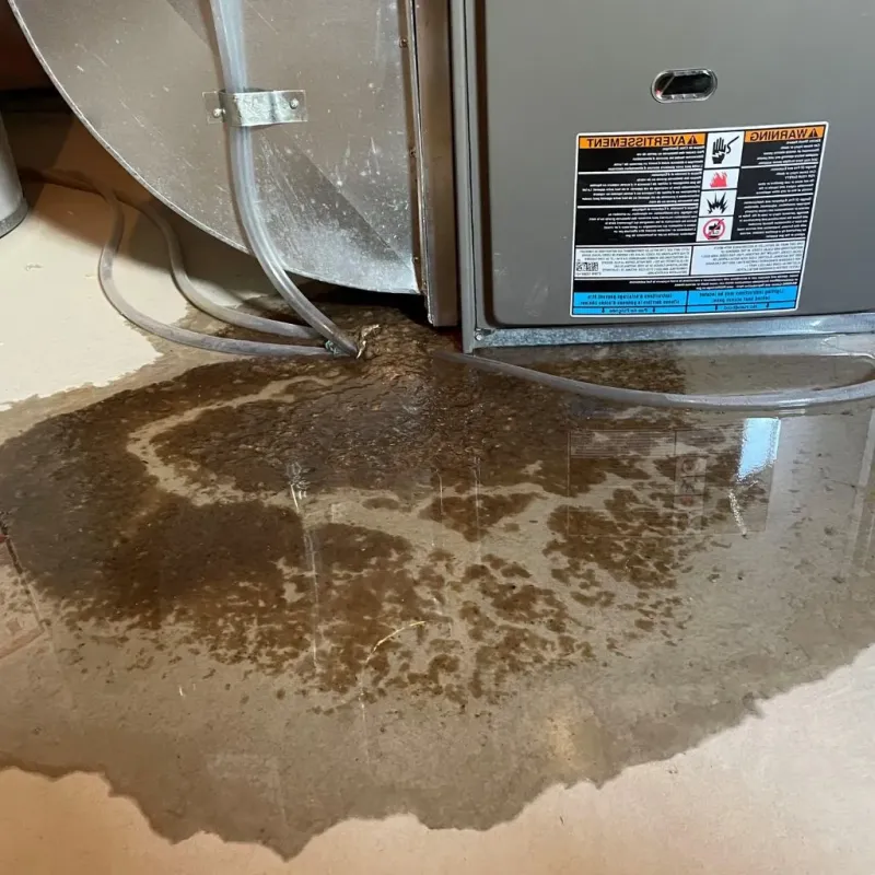 Pipe Burst and Leak Restoration in Zelienople, PA